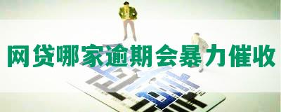 网贷哪家逾期会暴力催收