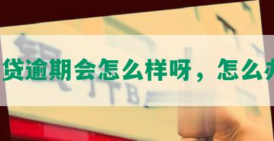 网贷逾期会怎么样呀，怎么办？