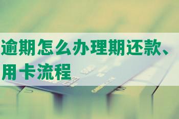 有钱花逾期怎么办理期还款、分期还款和信用卡流程