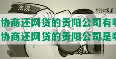 法务协商还网贷的贵阳公司有哪些，法务协商还网贷的贵阳公司是哪家