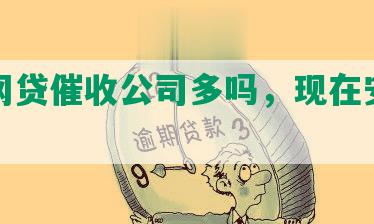 内的网贷催收公司多吗，现在安全吗？