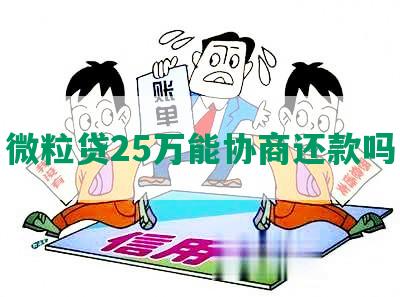 微粒贷25万能协商还款吗