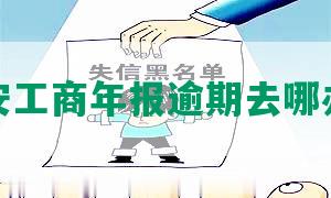 西安工商年报逾期去哪办理