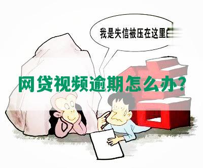 网贷视频逾期怎么办？