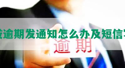 网贷逾期发通知怎么办及短信写法