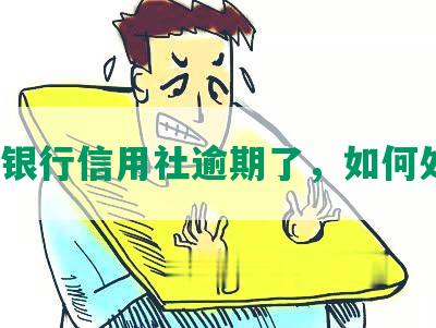 光大银行信用社逾期了，如何处理？