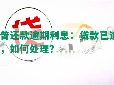 平安普还款逾期利息：贷款已逾期4个月，如何处理？