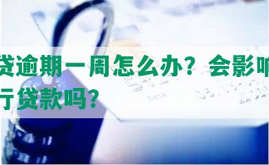 网商贷逾期一周怎么办？会影响征信和银行贷款吗？