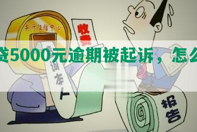 网贷5000元逾期被起诉，怎么办？