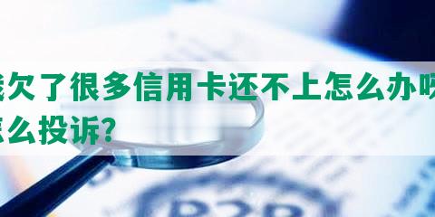 我欠了很多信用卡还不上怎么办呀，怎么投诉？