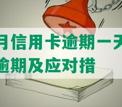 连续八个月信用卡逾期一天：如何避免信用卡逾期及应对措