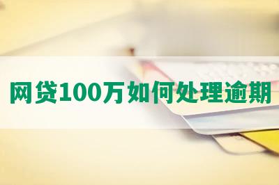 网贷100万如何处理逾期