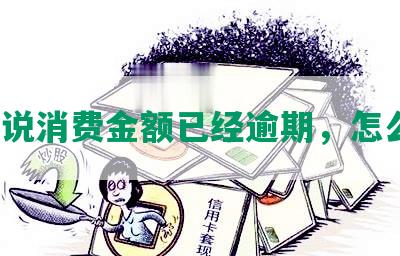 短信说消费金额已经逾期，怎么办？