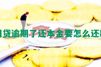 网贷逾期了还本金要怎么还款