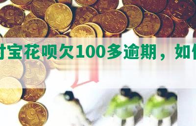 支付宝花呗欠100多逾期，如何解决？