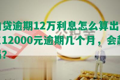 拍拍贷逾期12万利息怎么算出来的，欠12000元逾期几个月，会起诉吗？