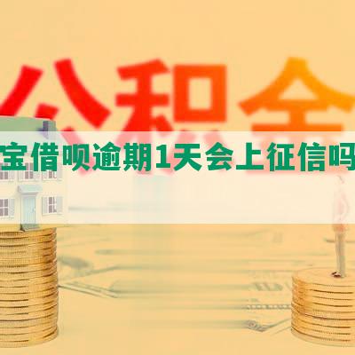 支付宝借呗逾期1天会上征信吗怎么办？