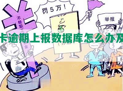 信用卡逾期上报数据库怎么办及影响分析