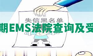 网贷逾期EMS法院查询及受理情况