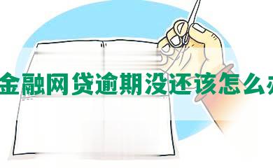 费金融网贷逾期没还该怎么办？