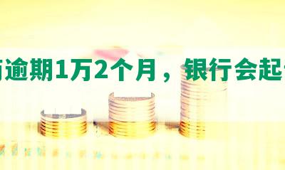 招商逾期1万2个月，银行会起诉吗？