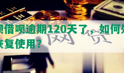 花呗借呗逾期120天了，如何处理及恢复使用？