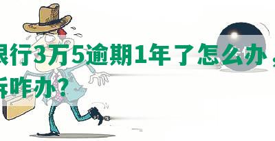 发银行3万5逾期1年了怎么办，被起诉咋办？