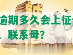 网贷一般逾期多久会上征信、起诉、爆通讯录、联系母？