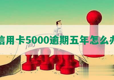 信用卡5000逾期五年怎么办