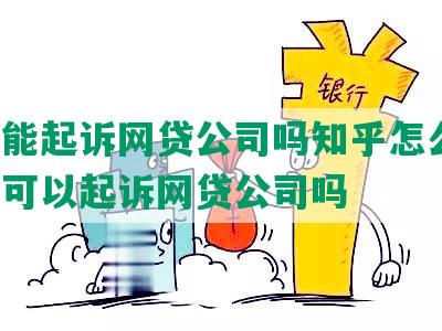 自己能起诉网贷公司吗知乎怎么写，个人可以起诉网贷公司吗