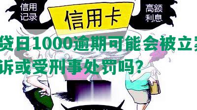 网贷日1000逾期可能会被立案、起诉或受刑事处罚吗？