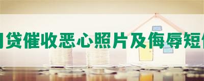 网贷催收恶心照片及侮辱短信