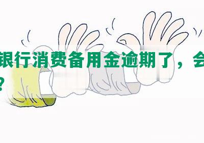 平安银行消费备用金逾期了，会被起诉吗？