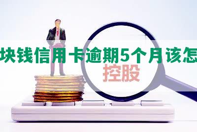 几十块钱信用卡逾期5个月该怎么办？