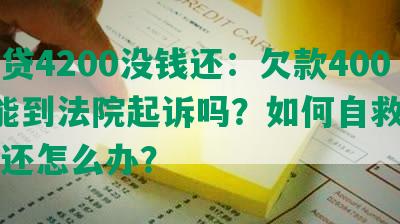 欠网贷4200没钱还：欠款4000元能到法院起诉吗？如何自救？无力偿还怎么办？