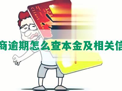 招商逾期怎么查本金及相关信息