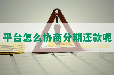 平台怎么协商分期还款呢