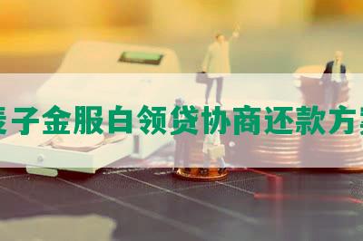 麦子金服白领贷协商还款方案