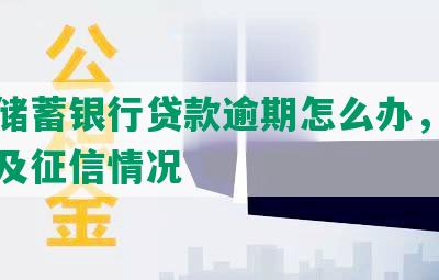 邮政储蓄银行贷款逾期怎么办，逾期处理及征信情况