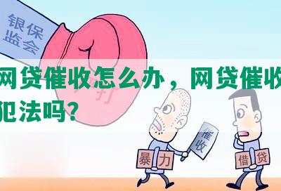 忍受网贷催收怎么办，网贷催收违法吗，犯法吗？