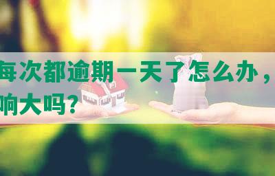 美团每次都逾期一天了怎么办，对信用影响大吗？