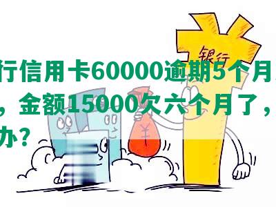 建行信用卡60000逾期5个月未还，金额15000欠六个月了，怎么办？