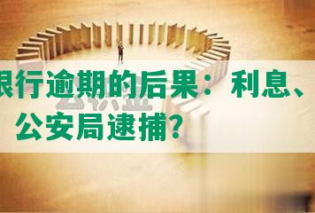 民生银行逾期的后果：利息、流程、立案，公安局逮捕？