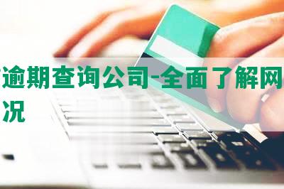 网贷逾期查询公司-全面了解网贷逾期情况