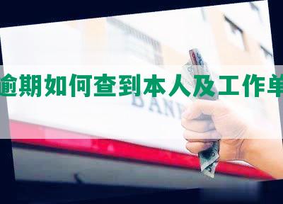 网贷逾期如何查到本人及工作单位信息