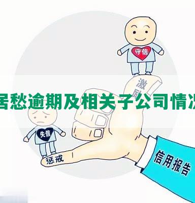 深圳居愁逾期及相关子公司情况简报