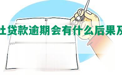 信用社贷款逾期会有什么后果及上征信？