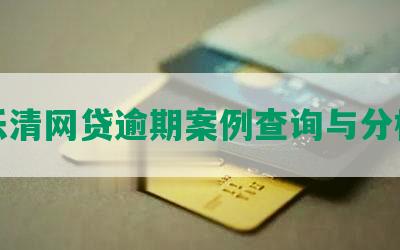 乐清网贷逾期案例查询与分析