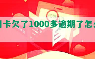 信用卡欠了1000多逾期了怎么办？