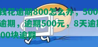 有钱花逾期800怎么办，5000元逾期，逾期500元，8天逾期，1000块逾期